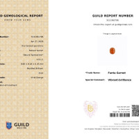 4.91 Ct. Orange Spessartite Garnet from Madagascar Scan Report