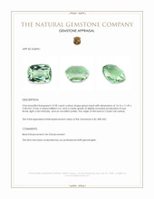 10.90 Ct. Green Beryl from Ceylon (Sri Lanka) Appraisal