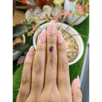 2.00 Ct. Purple Cabochon Rhodolite Garnet from Ceylon (Sri Lanka) Life Style