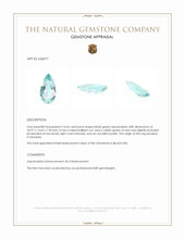 14.64 Ct. Bluish Green Aquamarine from Tanzania Appraisal
