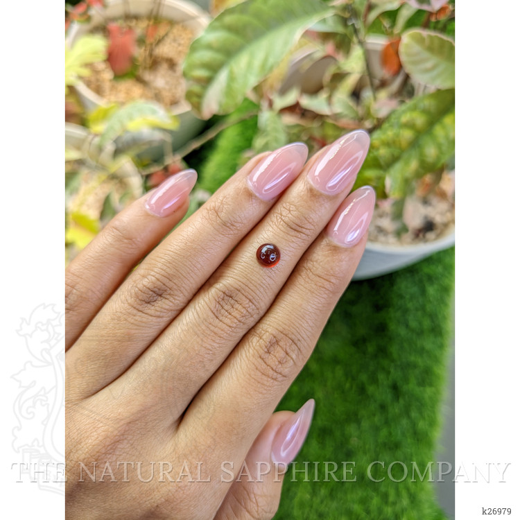 1.51 Ct. Red Cabochon Almandine Garnet from Ceylon (Sri Lanka)