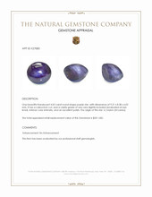 4.02 Ct. Purple Star Spinel from Ceylon (Sri Lanka) Appraisal