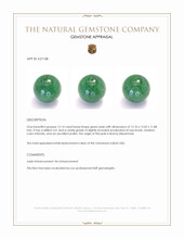 12.14 Ct. Green Jade from Burma (Myanmar) Appraisal