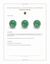 12.14 Ct. Green Jade from Burma (Myanmar) Appraisal
