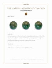 13.18 Ct. Bluish Green Jade from Burma (Myanmar) Appraisal