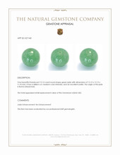12.15 Ct. Green Jade from Burma (Myanmar) Appraisal