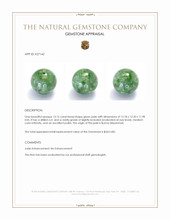 13.15 Ct. Green Jade from Burma (Myanmar) Appraisal
