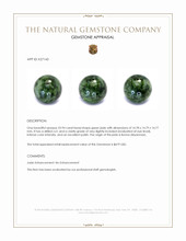 23.94 Ct. Green Jade from Burma (Myanmar) Appraisal