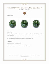 23.94 Ct. Green Jade from Burma (Myanmar) Appraisal