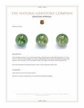 13.14 Ct. Yellowish Green Jade from Burma (Myanmar) Appraisal