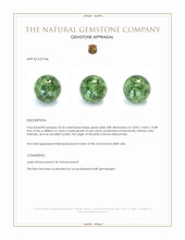 24.24 Ct. Green Jade from Burma (Myanmar) Appraisal