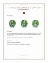 24.24 Ct. Green Jade from Burma (Myanmar) Appraisal
