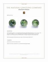 13.13 Ct. Green Jade from Burma (Myanmar) Appraisal