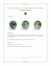 13.13 Ct. Green Jade from Burma (Myanmar) Appraisal