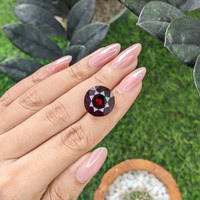 16.79 Ct. Red Garnet from Ceylon (Sri Lanka) Life Style