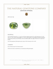 1.16 Ct. Yellowish Green Zircon from Ceylon (Sri Lanka) Appraisal
