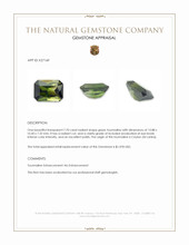 7.70 Ct. Green Tourmaline from Ceylon (Sri Lanka) Appraisal