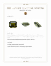 4.05 Ct. Yellowish Green Tourmaline from Ceylon (Sri Lanka) Appraisal