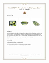 5.38 Ct. Yellowish Green Tourmaline from Ceylon (Sri Lanka) Appraisal