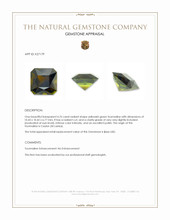 4.76 Ct. Yellowish Green Tourmaline from Ceylon (Sri Lanka) Appraisal