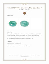 9.33 Ct. Greenish Blue Jade from Burma (Myanmar) Appraisal