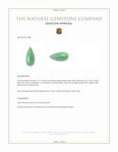 12.37 Ct. Bluish Green Jade from Burma (Myanmar) Appraisal