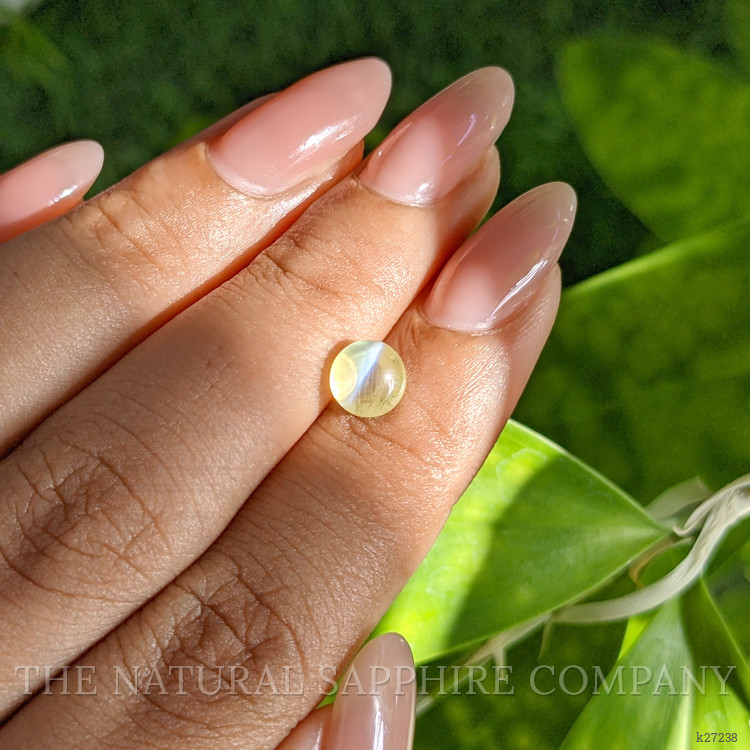 1.58 Ct. Yellowish Green Cabochon Chrysoberyl from Ceylon (Sri Lanka)