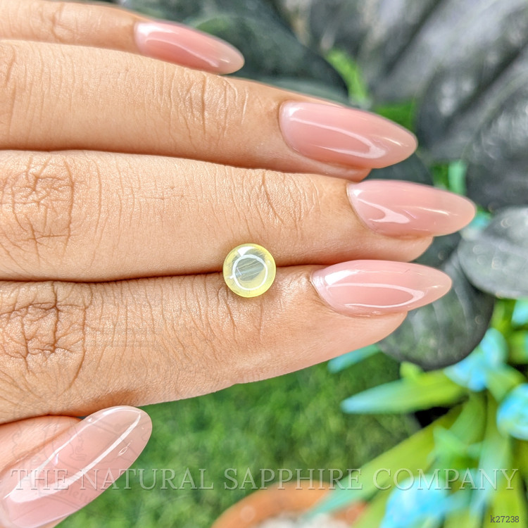 1.58 Ct. Yellowish Green Cabochon Chrysoberyl from Ceylon (Sri Lanka)