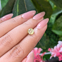 1.58 Ct. Yellowish Green Cabochon Chrysoberyl from Ceylon (Sri Lanka) Life Style