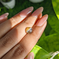 1.85 Ct. Yellowish Brown Cabochon Chrysoberyl from Madagascar Life Style