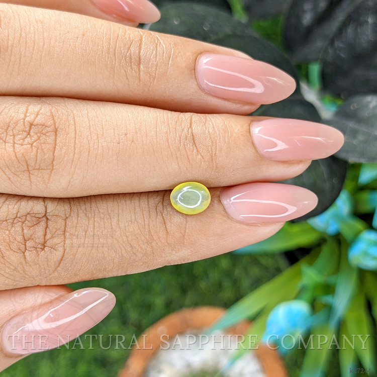 1.44 Ct. Yellowish Green Cabochon Chrysoberyl from Ceylon (Sri Lanka)