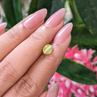 1.44 Ct. Yellowish Green Cabochon Chrysoberyl from Ceylon (Sri Lanka) Life Style
