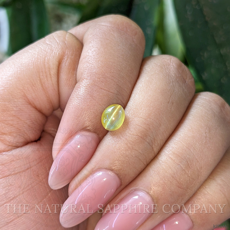 1.44 Ct. Yellowish Green Cabochon Chrysoberyl from Ceylon (Sri Lanka)