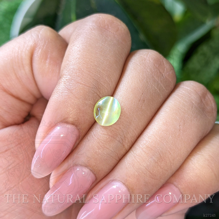 1.75 Ct. Green Cabochon Chrysoberyl from Ceylon (Sri Lanka)