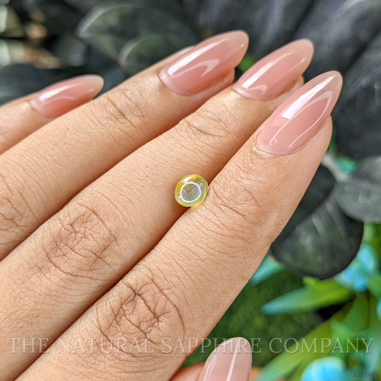 1.27 Ct. Yellowish Green Cabochon Chrysoberyl from Ceylon (Sri Lanka)
