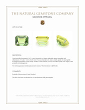 14.21 Ct. Yellowish Green Prasiolite from Madagascar Appraisal