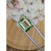 9.80 Ct. Yellowish Green Prasiolite from Madagascar Life Style