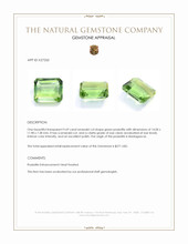 9.69 Ct. Green Prasiolite from Madagascar Appraisal
