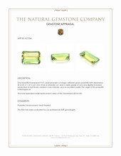 9.07 Ct. Yellowish Green Prasiolite from Madagascar Appraisal