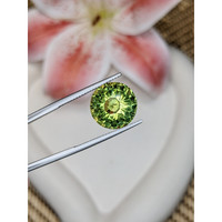8.37 Ct. Yellowish Green Prasiolite from Madagascar Life Style