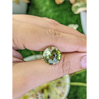 8.37 Ct. Yellowish Green Prasiolite from Madagascar Life Style