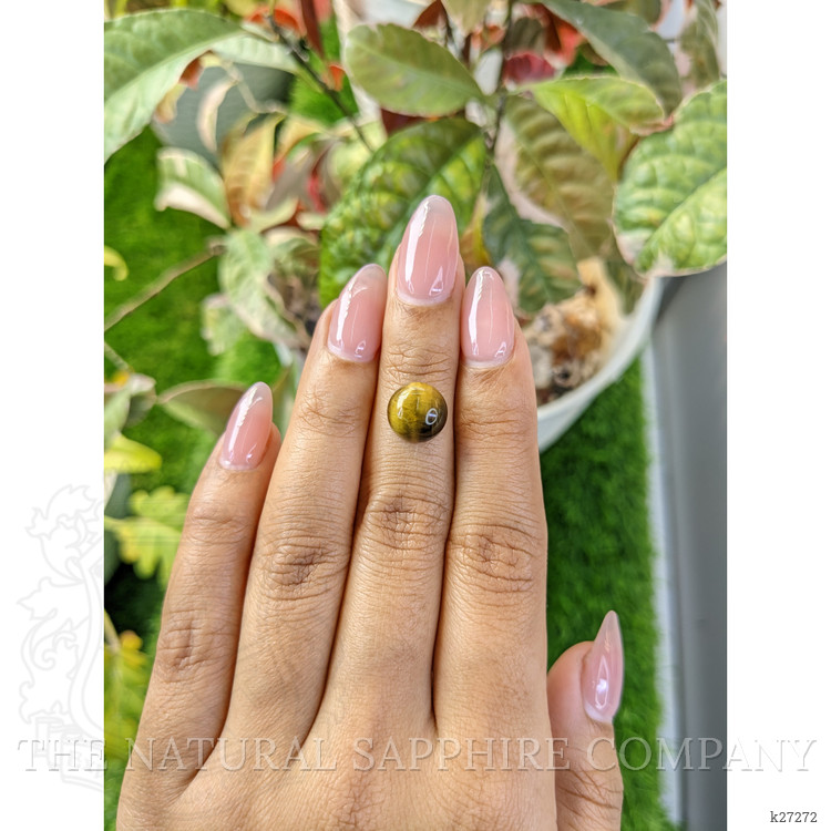 4.19 Ct. Cabochon Tiger's Eye from Ceylon (Sri Lanka)