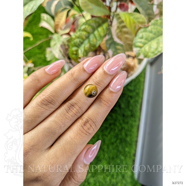 4.19 Ct. Cabochon Tiger's Eye from Ceylon (Sri Lanka)