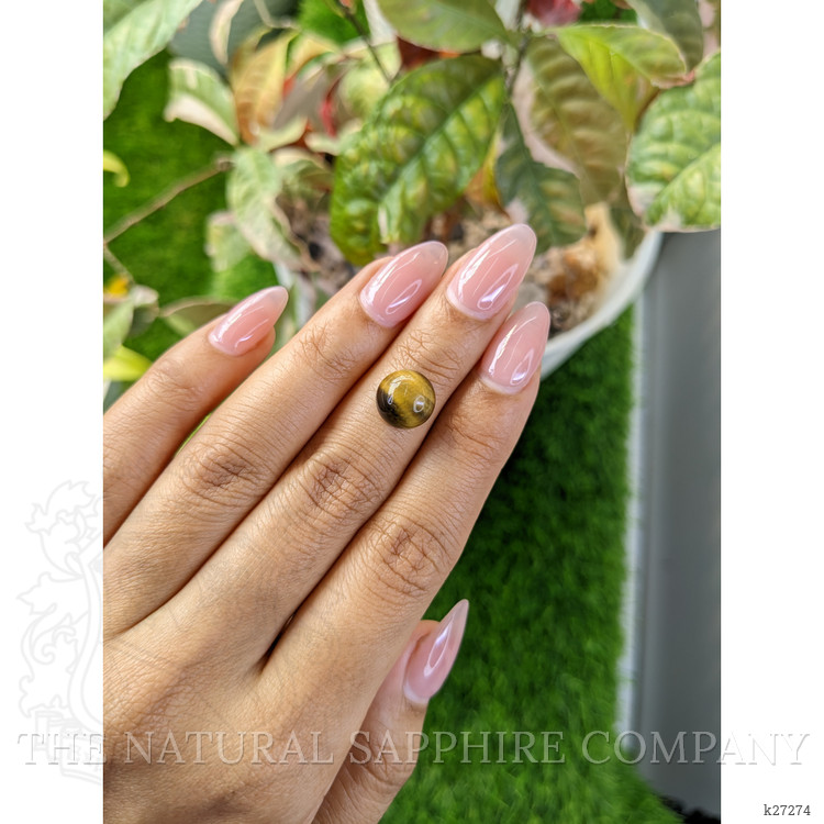 4.25 Ct. Cabochon Tiger's Eye from Ceylon (Sri Lanka)
