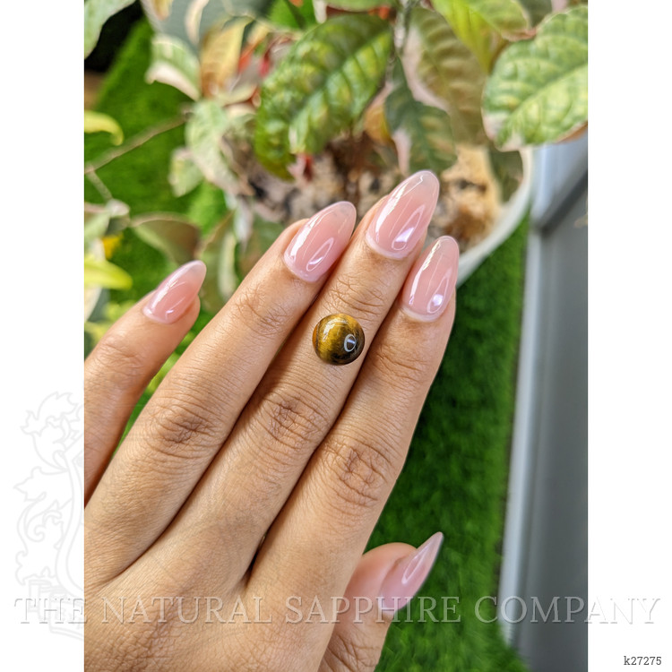 4.25 Ct. Cabochon Tiger's Eye from Ceylon (Sri Lanka)