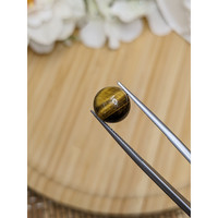 4.31 Ct. Cabochon Tiger's Eye from Ceylon (Sri Lanka) Life Style