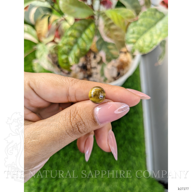 4.33 Ct. Cabochon Tiger's Eye from Ceylon (Sri Lanka)