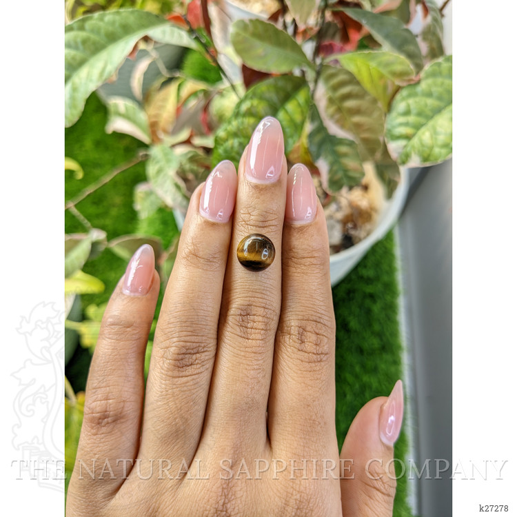 4.36 Ct. Cabochon Tiger's Eye from Ceylon (Sri Lanka)