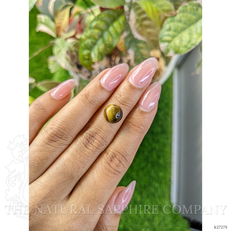 4.37 Ct. Cabochon Tiger's Eye from Ceylon (Sri Lanka)