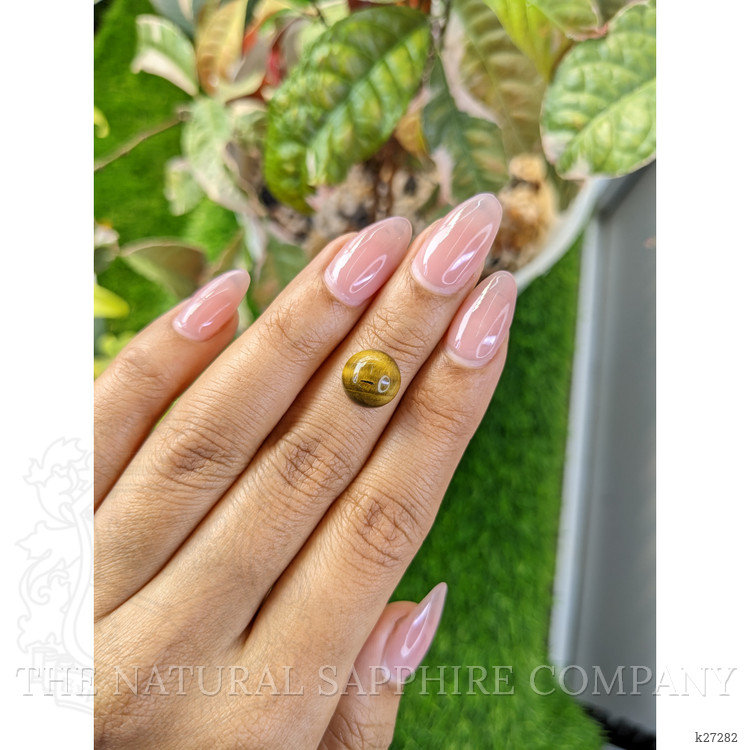 4.43 Ct. Cabochon Tiger's Eye from Ceylon (Sri Lanka)